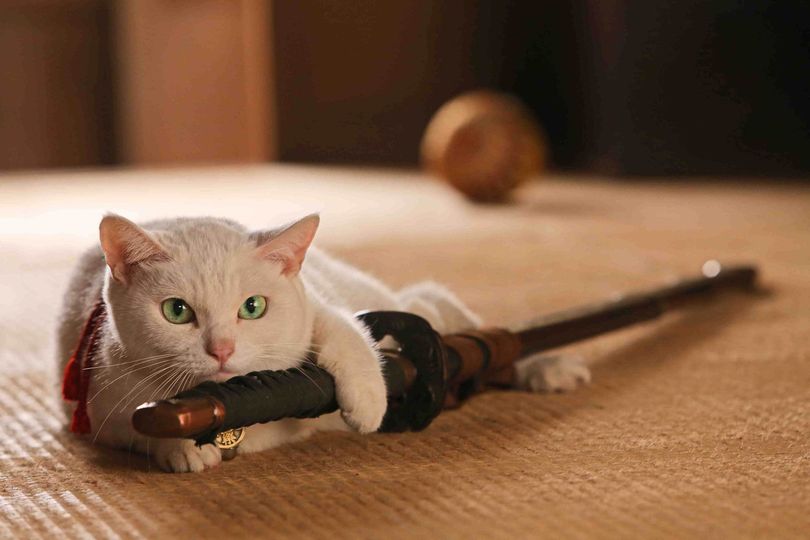고양이 사무라이 Samurai Cat 猫侍劇照