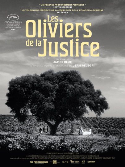 더 올리브 트리스 오브 저스티스 The Olive Trees of Justice Photo