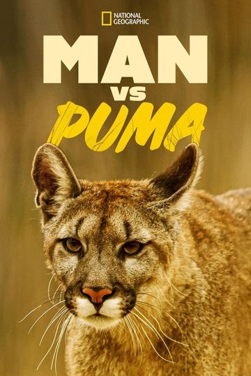 생존 경쟁! 퓨마 vs 인간 Man Vs. Puma 사진