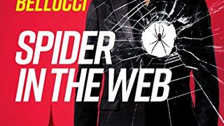 거미줄에 걸린 남자 Spider in the Web Photo