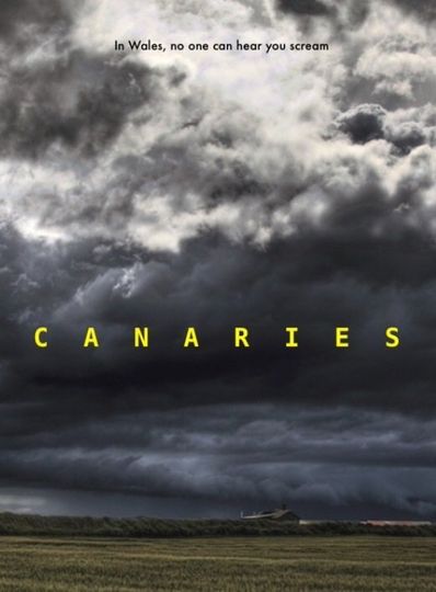 카나리해 Canaries 사진