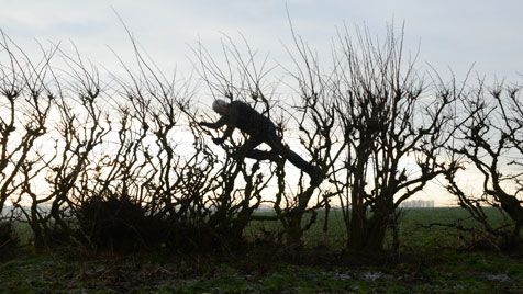 리닝 인투 더 윈드: 앤디 골즈워디 Leaning Into the Wind: Andy Goldsworthy Photo