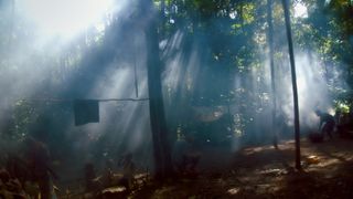 루이스 사르노의 숲의 노래 Song from the Forest Photo