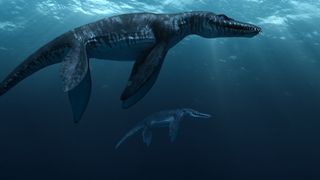 雷克斯海3D:史前世界 Sea Rex 3D: Journey to a Prehistoric World 写真