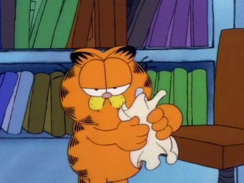 ảnh 加菲貓和他的朋友們 第一季 Garfield and Friends