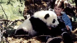 小貓熊歷險記 The Amazing Panda Adventure劇照
