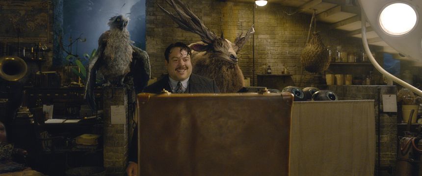 신비한 동물들과 그린델왈드의 범죄 Fantastic Beasts: The Crimes of Grindelwald Foto