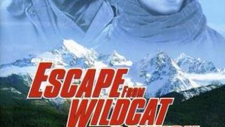 와일드캣 협곡 탈출기 Escape from Wildcat Canyon Photo