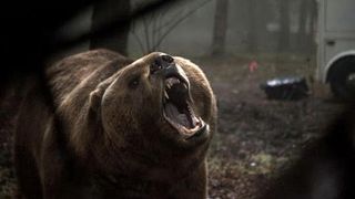메이즈 헌터 : 살인곰의 습격 Into the Grizzly Maze รูปภาพ