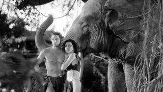 타잔 - 조니 웨이스뮬러 편 8 Tarzan And The Amazons Photo
