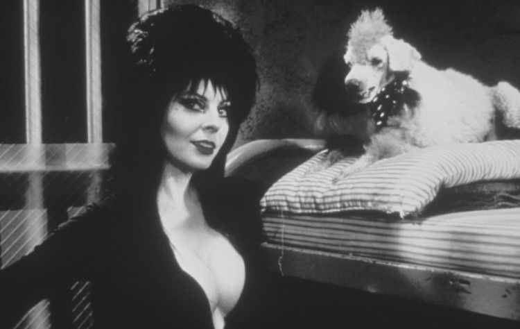銷魂天師 Elvira, Mistress of the Dark 사진