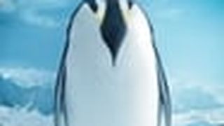 企鵝寶貝2：極地的呼喚 L\'empereur 사진