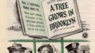 長春樹 A Tree Grows in Brooklyn 사진