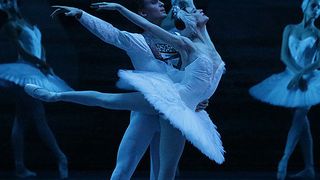 ボリショイ・バレエ in シネマ Season 2016-2017 「白鳥の湖」 写真