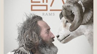 램스 Rams รูปภาพ
