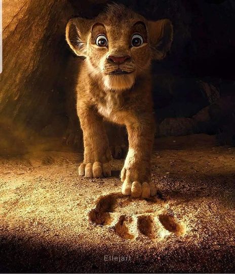 獅子王 3D Lion King(2011) Foto