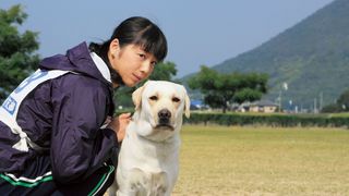키나코 : 견습 경찰견 이야기 Police Dog Dream きな子～見習い警察犬の物語～ 写真