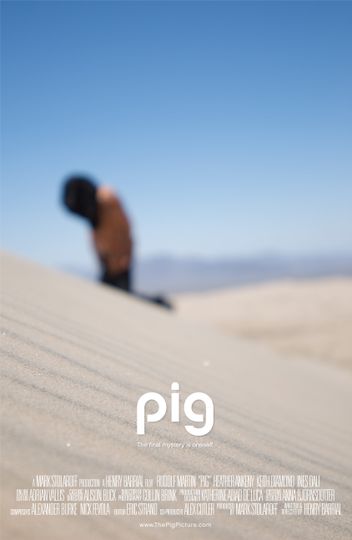 豬 Pig Photo