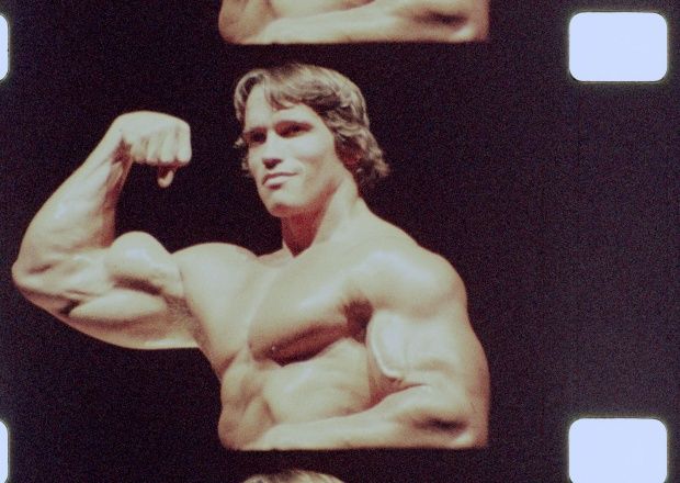 아놀드 슈왈제네거 - 디 아트 오브 보디빌딩 Arnold Schwarzenegger - The Art of Bodybuilding Photo