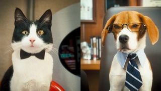 캣츠 앤 독스 2 Cats & Dogs: The Revenge of Kitty Galore劇照