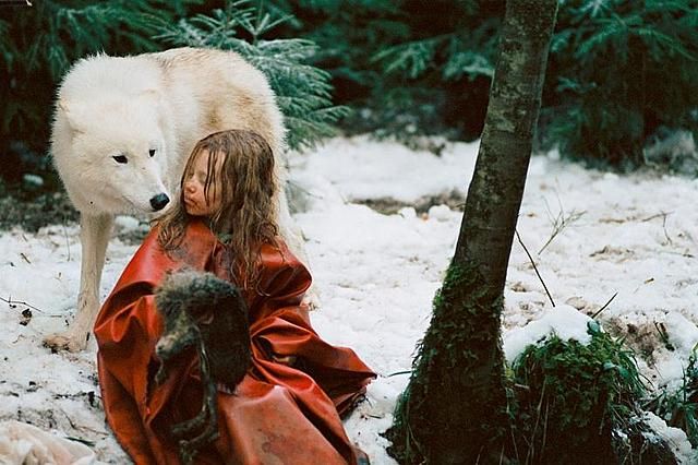ミーシャ　ホロコーストと白い狼 Photo