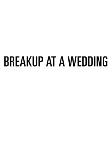 婚禮分手事件 Breakup at a Wedding劇照