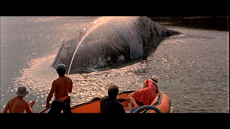 고래와 창녀 the whore and the whale, La Puta y la ballena 사진
