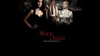 블랙 달리아 The Black Dahlia Photo