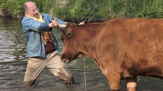 ảnh 라 바쉬 One Man and His Cow