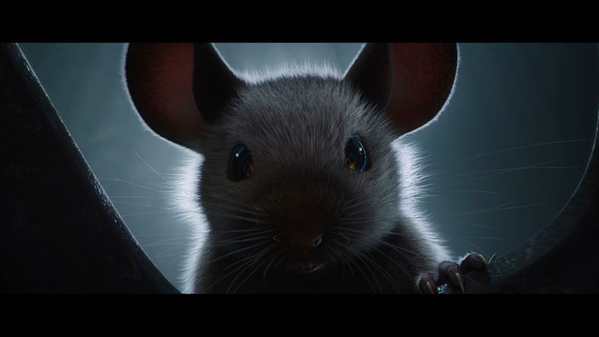 생쥐, 작은 이야기 Mice, a small story 사진