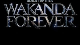 แบล็ค แพนเธอร์: วาคานด้าจงเจริญ Black Panther wakanda forever Foto