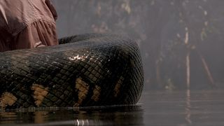 狂蟒之災 Anaconda Foto
