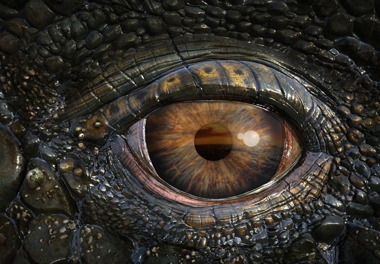 雷克斯海3D:史前世界 Sea Rex 3D: Journey to a Prehistoric World劇照