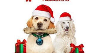 더 독 후 세이브드 크리스마스 베케이션 The Dog Who Saved Christmas Vacation劇照