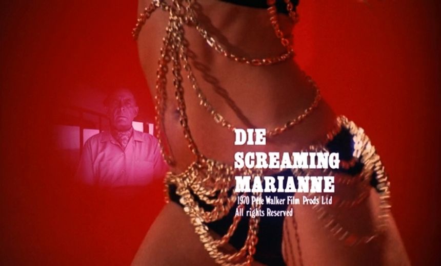 模具尖叫 瑪麗安娜 瑪麗安娜 Die Screaming, Marianne劇照