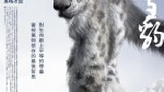 雪豹  Snow Leopard劇照