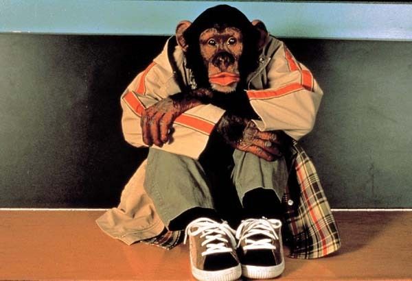 재키는 엠브이피 MVP: Most Valuable Primate Photo