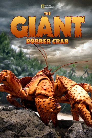 자이언트 야자집게 The Giant Robber Crab Foto