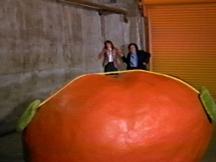 殺人番茄 Attack of the Killer Tomatoes劇照