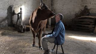 라 바쉬 One Man and His Cow Photo