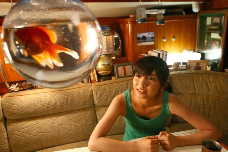 바다의 금붕어 Goldfish In Sea 海の金魚 Photo