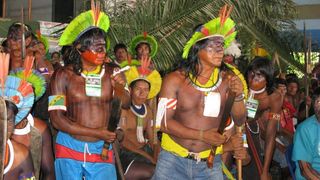싱구강을 지켜라 Battle for the Xingu Foto