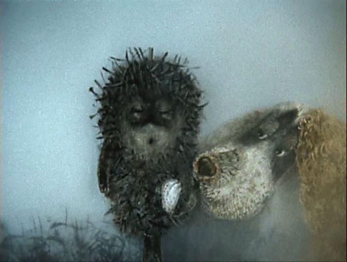 迷霧中的小刺蝟 Ёжик в  тумане รูปภาพ