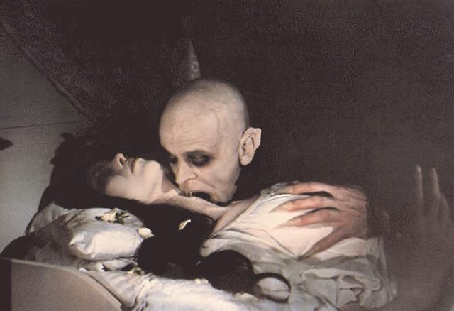 노스페라투 Nosferatu The Vampyre, Nosferatu: Phantom Der Nacht รูปภาพ