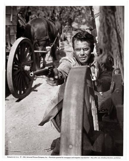 從阿拉莫來的男人 The Man From The Alamo劇照