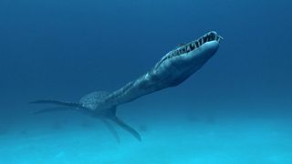 바다속의 괴물들 Sea Monsters: A Prehistoric Adventure劇照