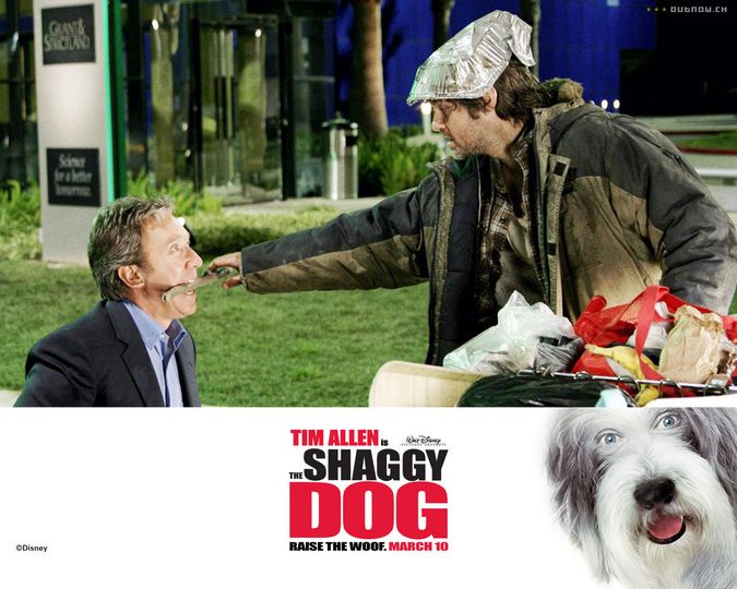 섀기 독 The Shaggy Dog Photo