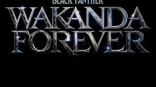 블랙 팬서: 와칸다 포에버 Black Panther: Wakanda Forever 사진