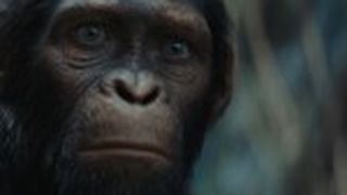 猿人爭霸戰：猩凶帝國  Kingdom of the Planet of the Apes Foto