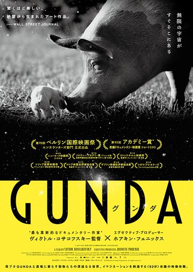 GUNDA グンダ劇照